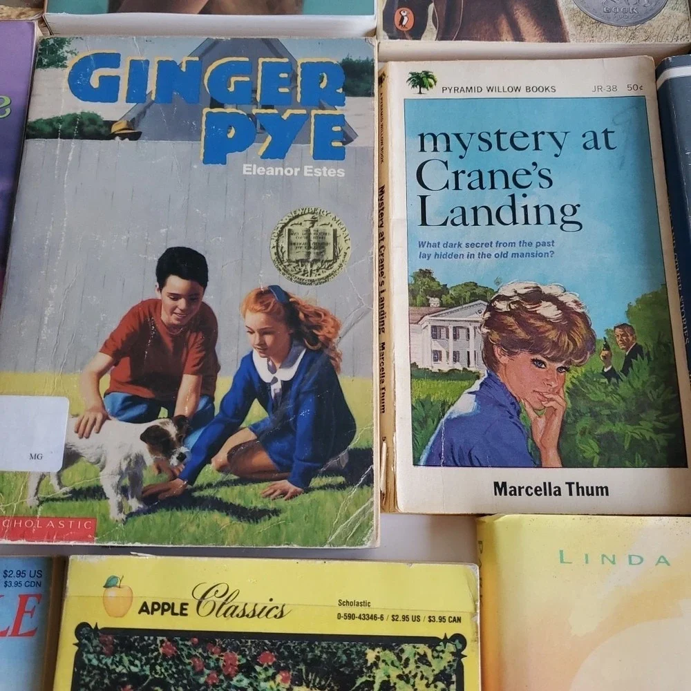 Lot of 22 Books Level 6/7 RL Misc Titles MIX Youth Teacher Library Homeschool‎